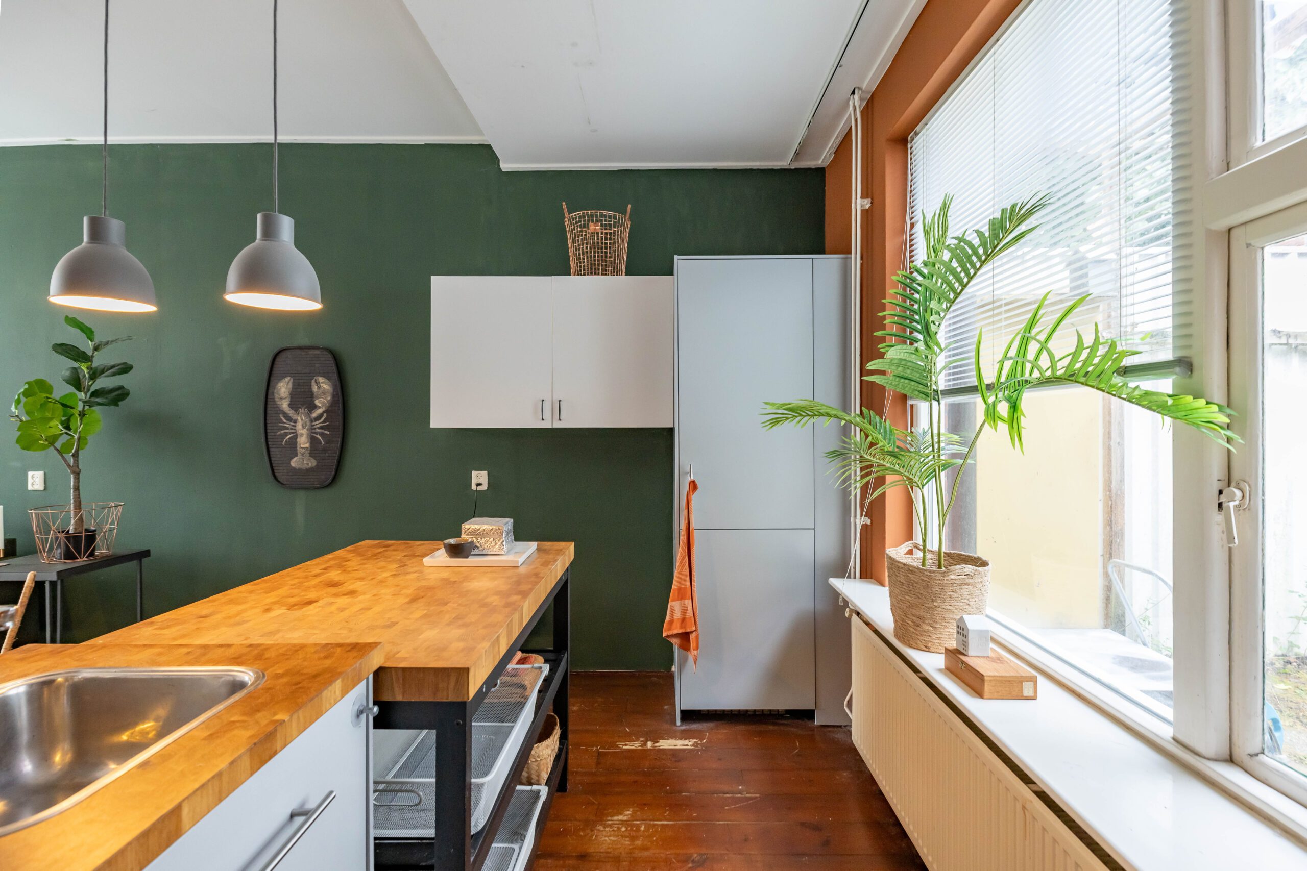 2025-10-15 Rodeweg 24 -19