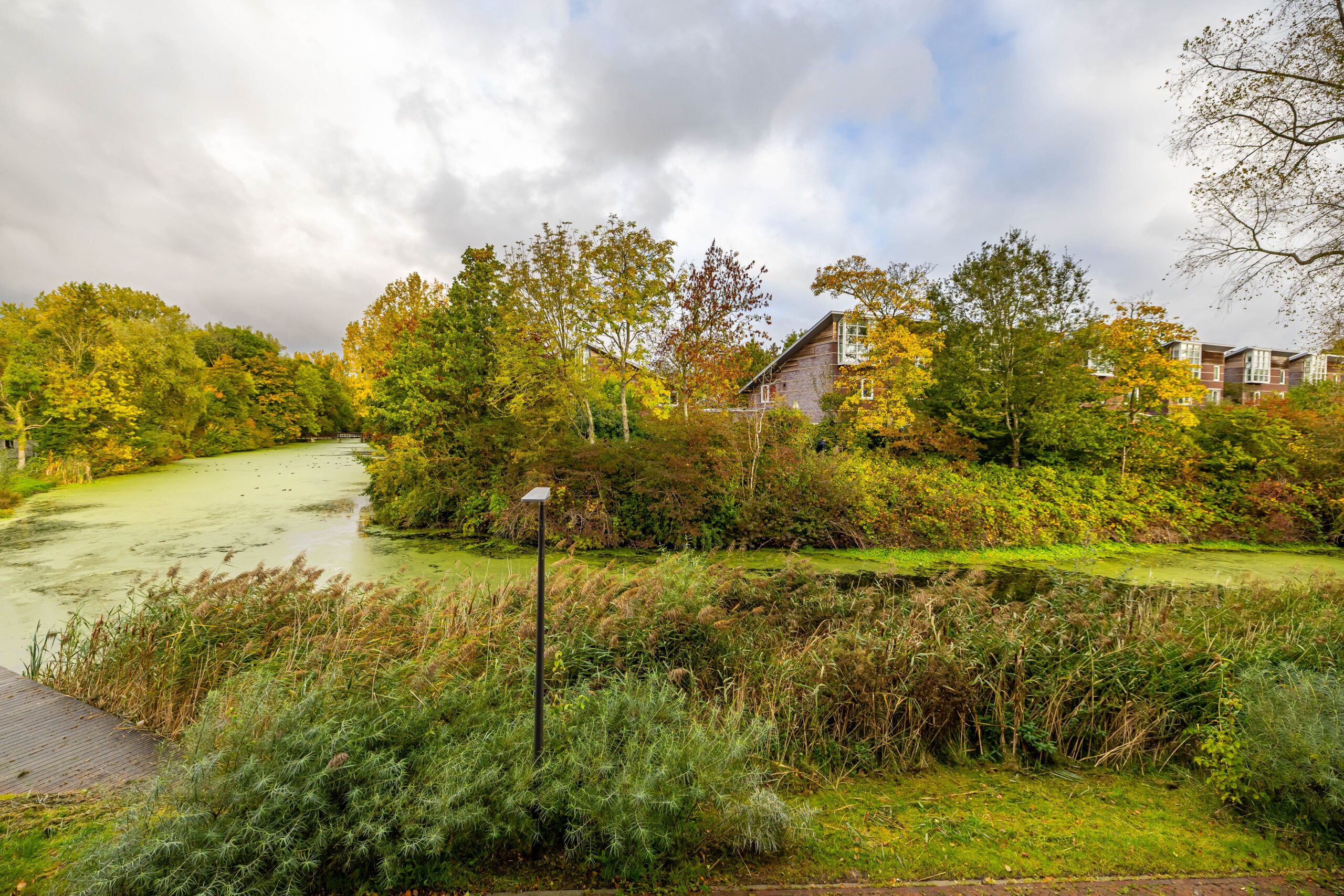 Helper Westsingel 49-8-18