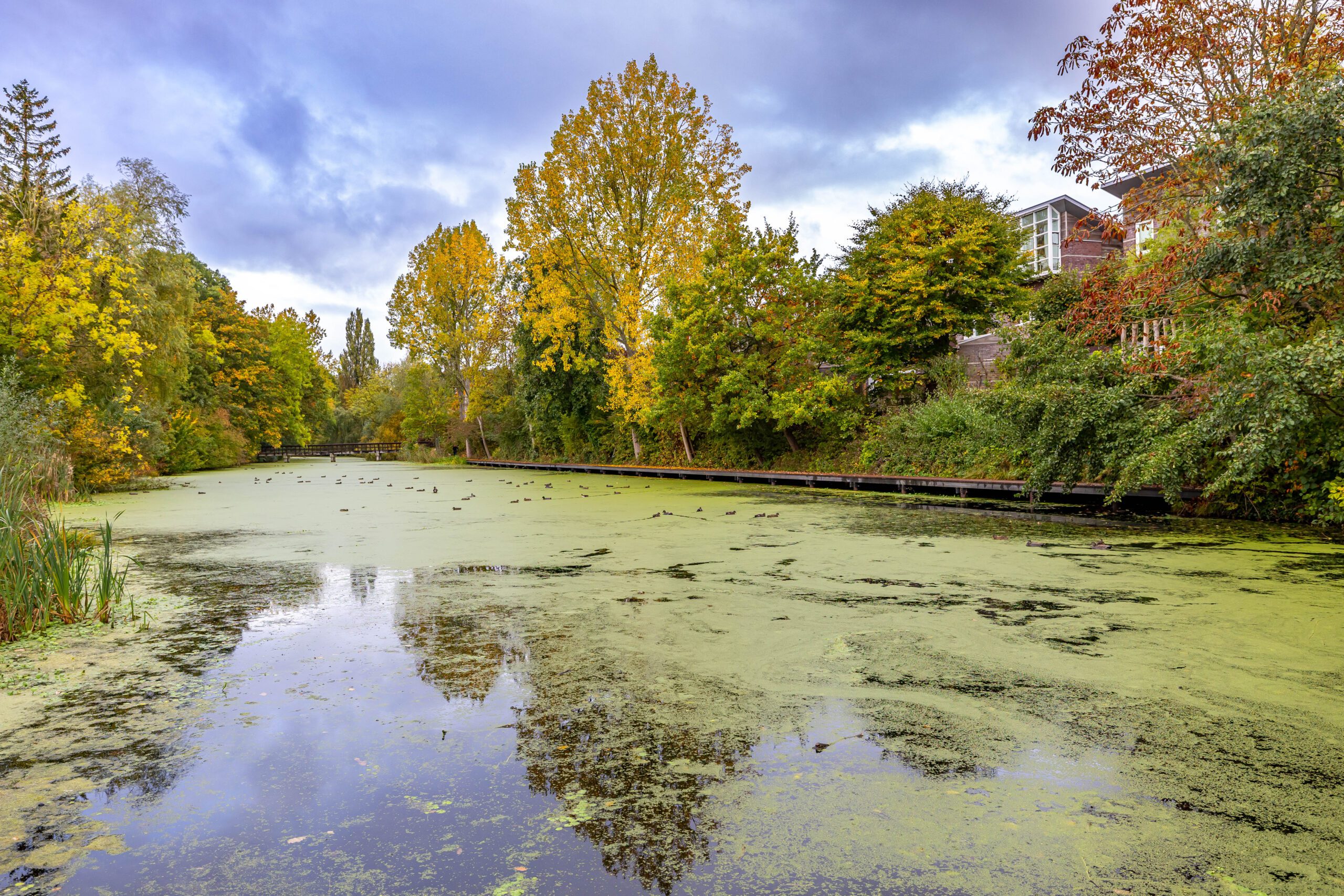 Helper Westsingel 49-8-4